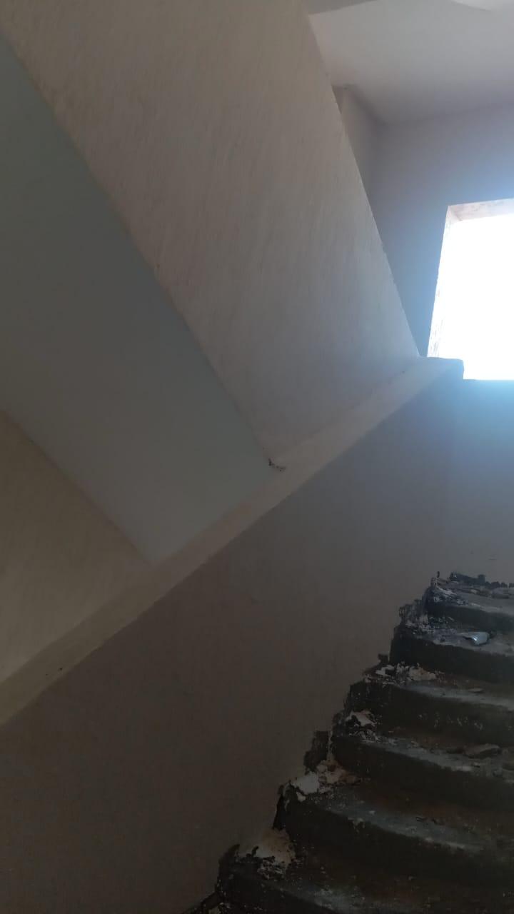Construction stage Plaster and putty